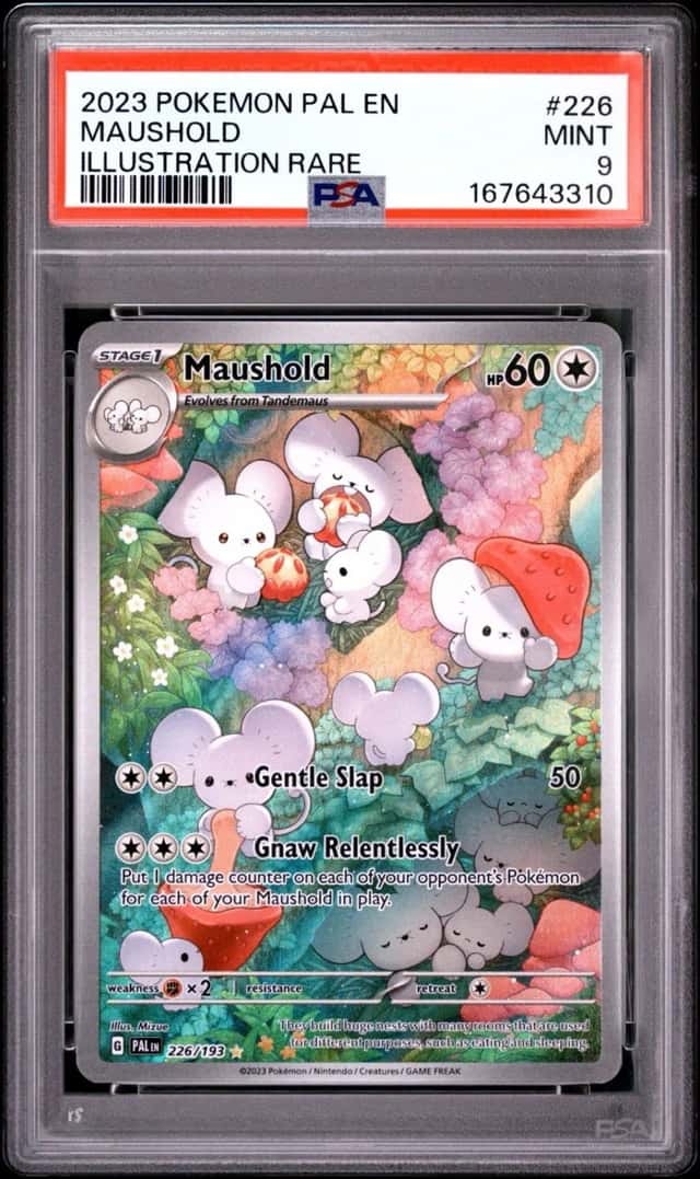 Maushold