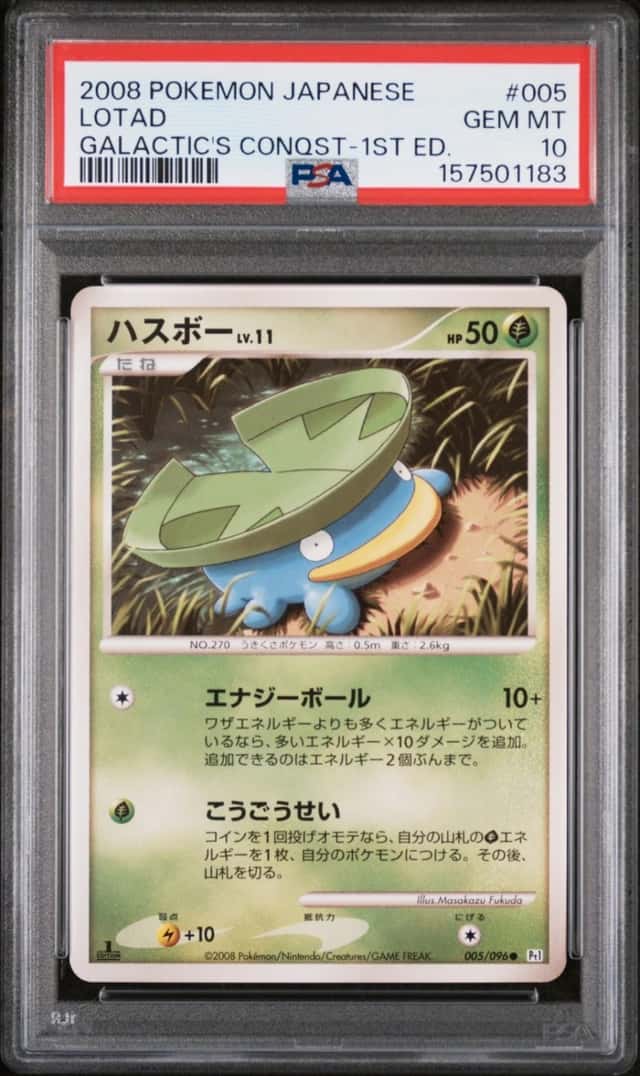Lotad