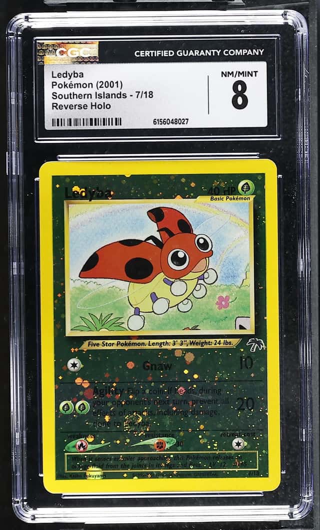 Ledyba