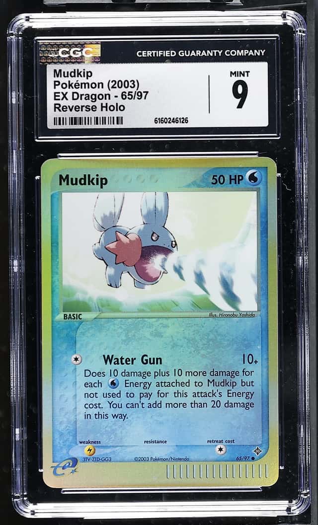 Mudkip