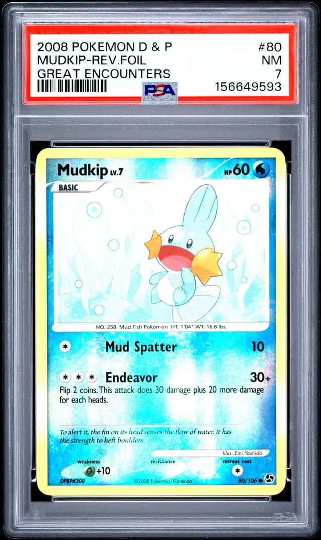 Mudkip