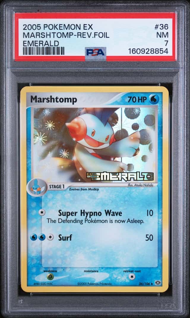 Marshtomp