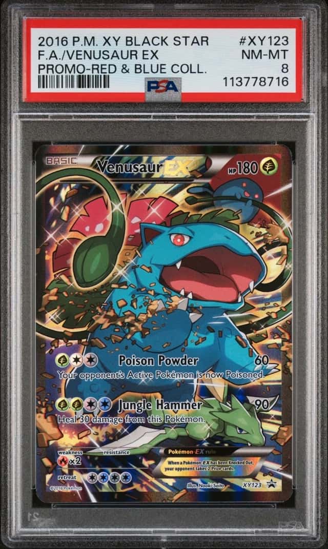 Venusaur EX