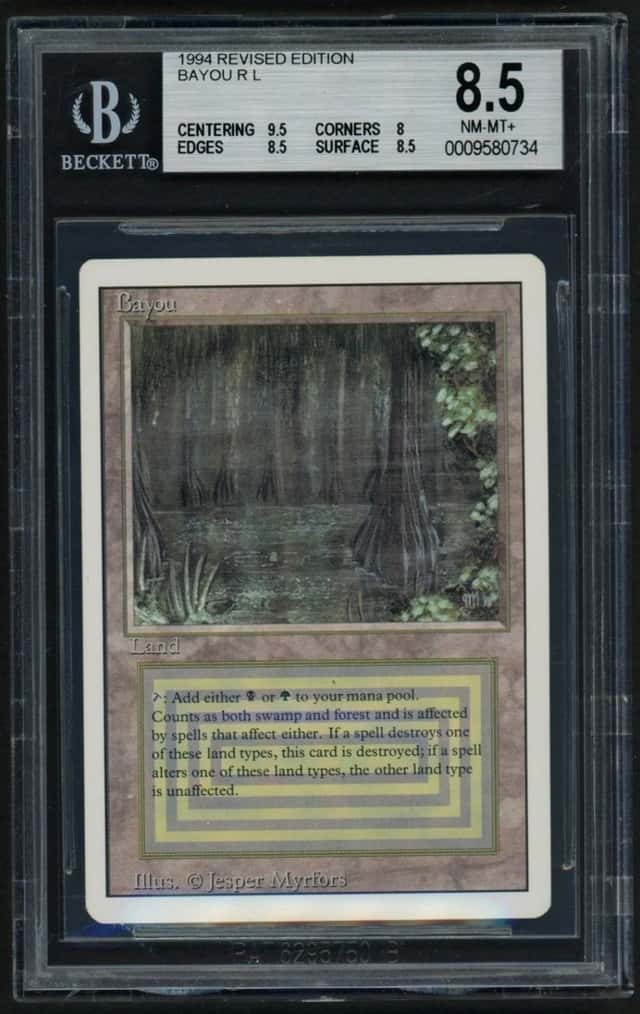 Bayou