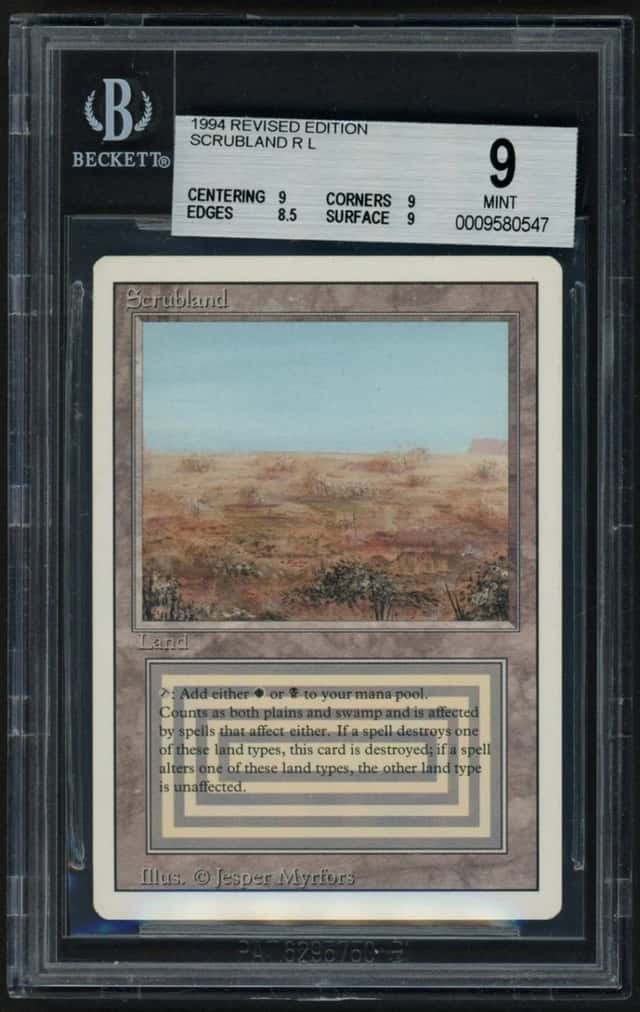 Scrubland
