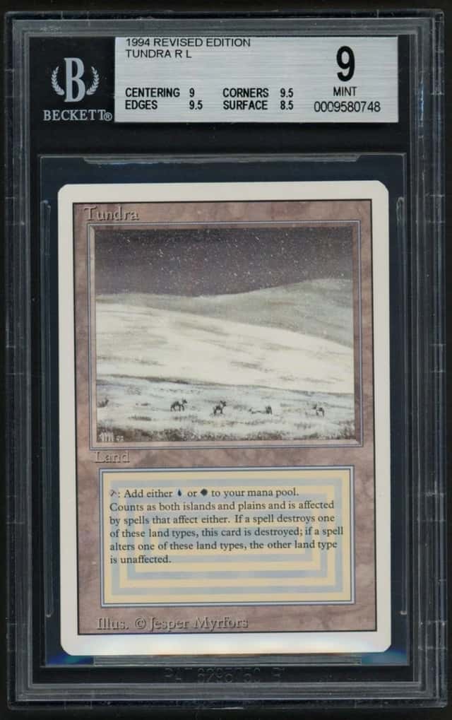 Tundra