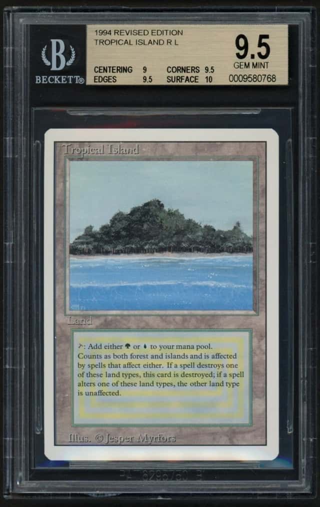 Tropical Island