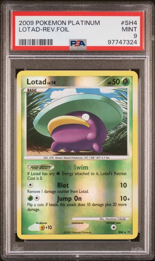 Lotad