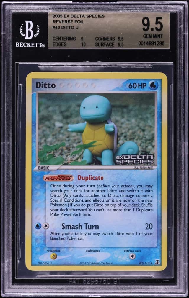 Ditto [Squirtle]