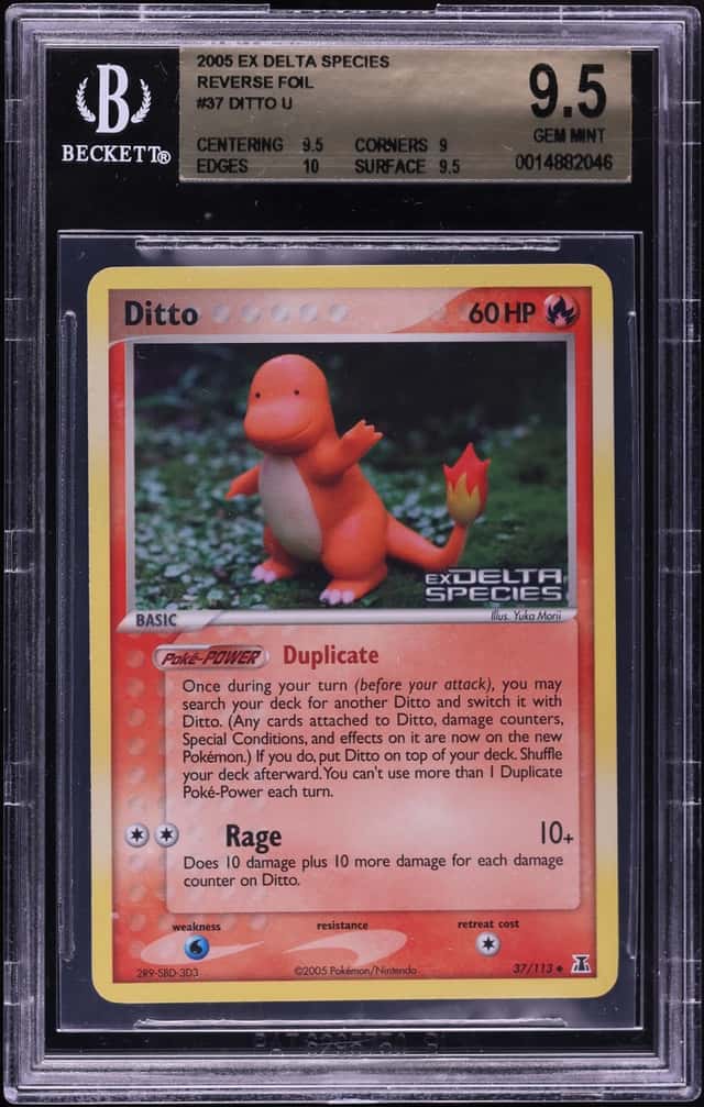 Ditto [Charmander]