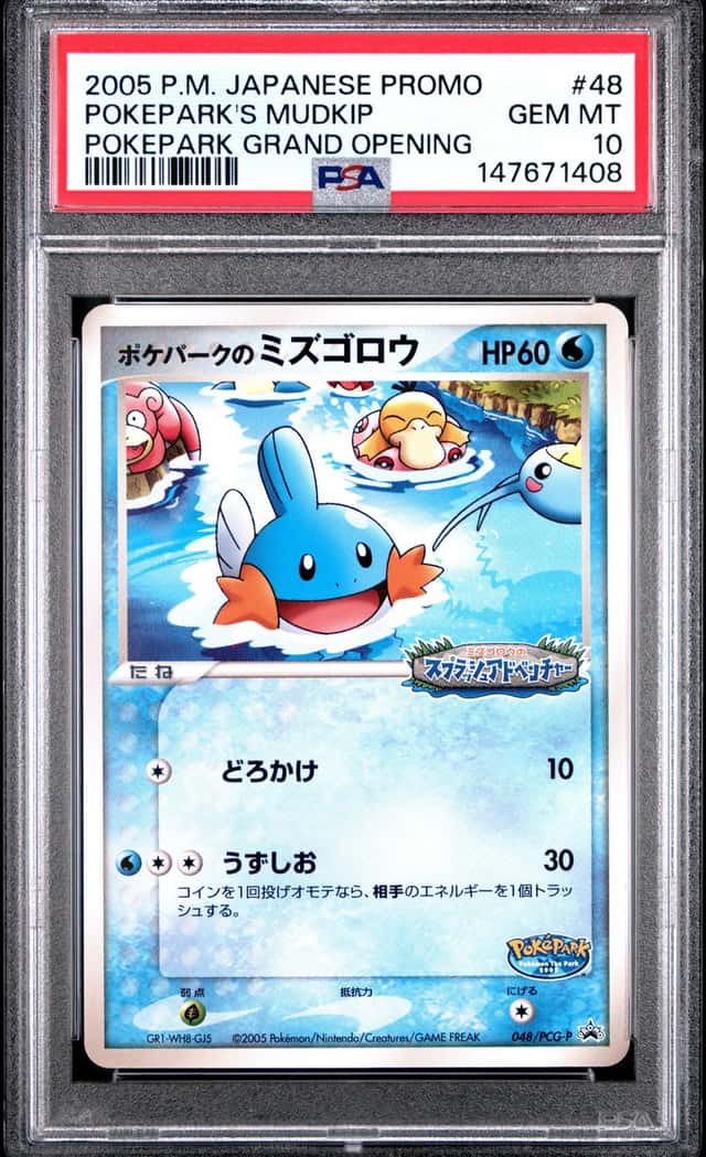 Pokepark's Mudkip