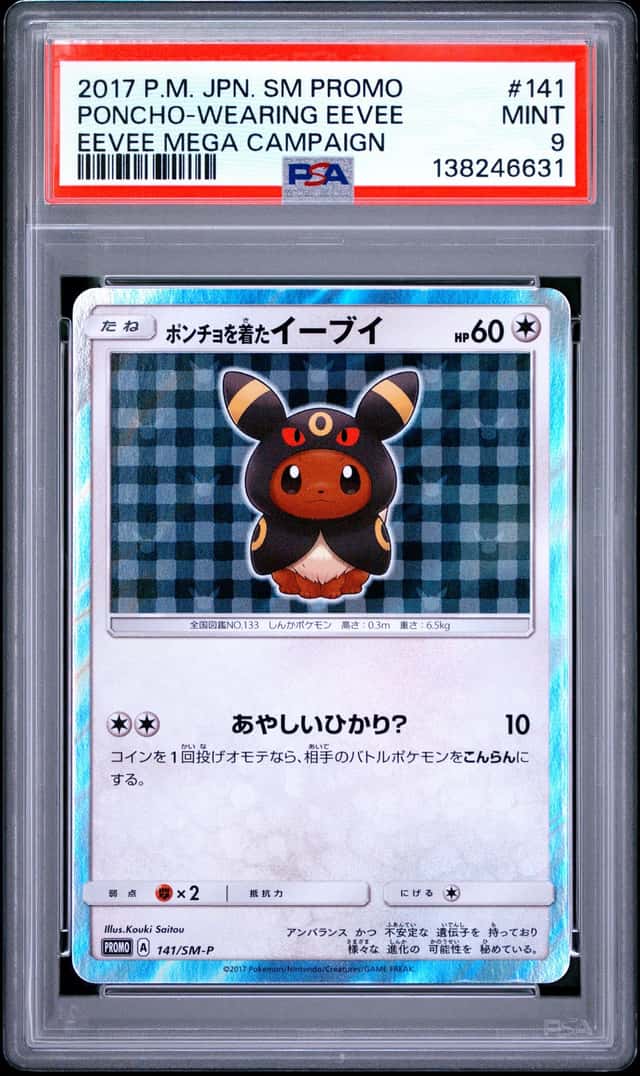 Poncho-wearing Eevee