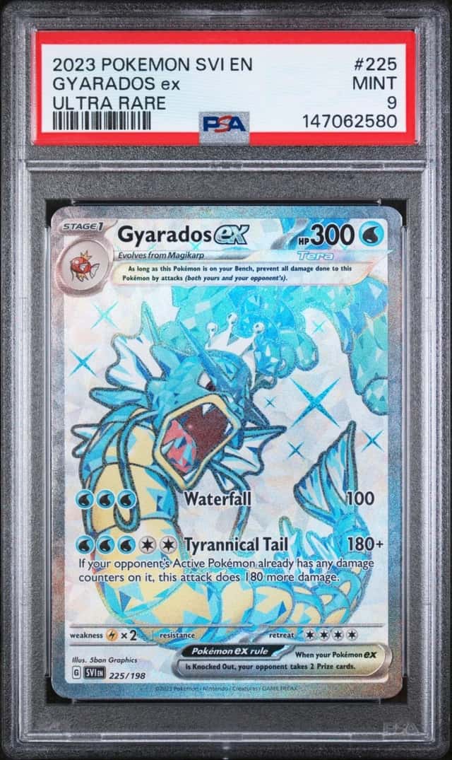 GYARADOS ex