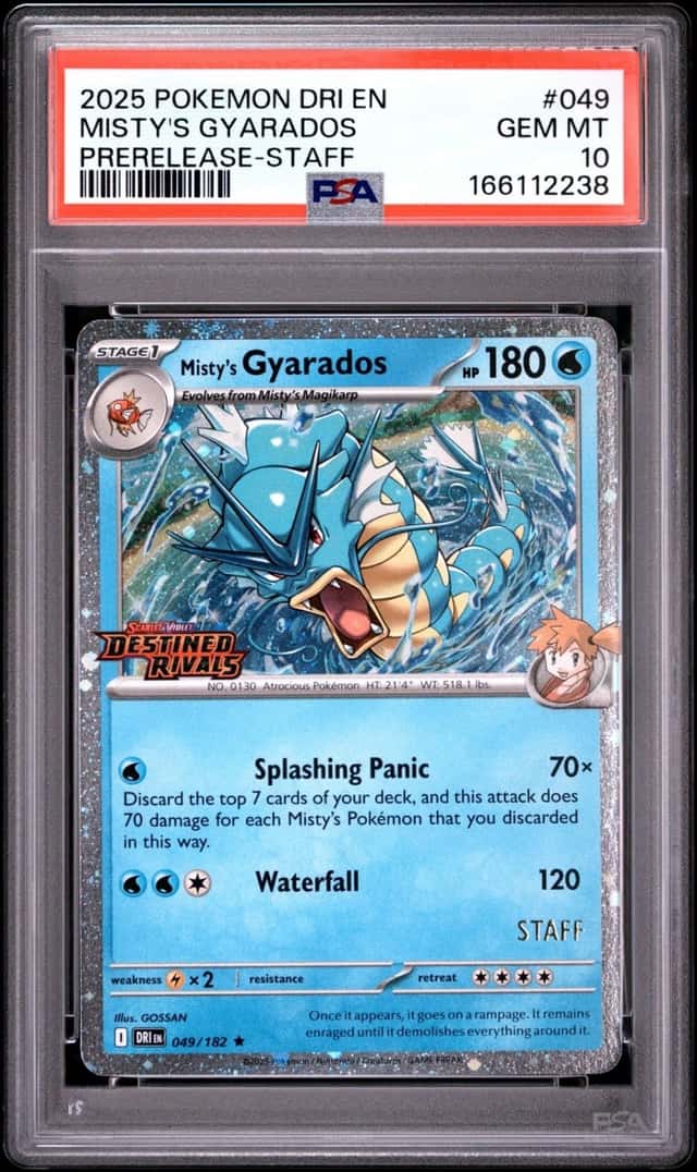 Misty's Gyarados