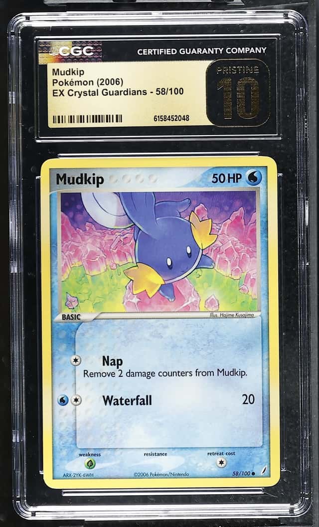 Mudkip