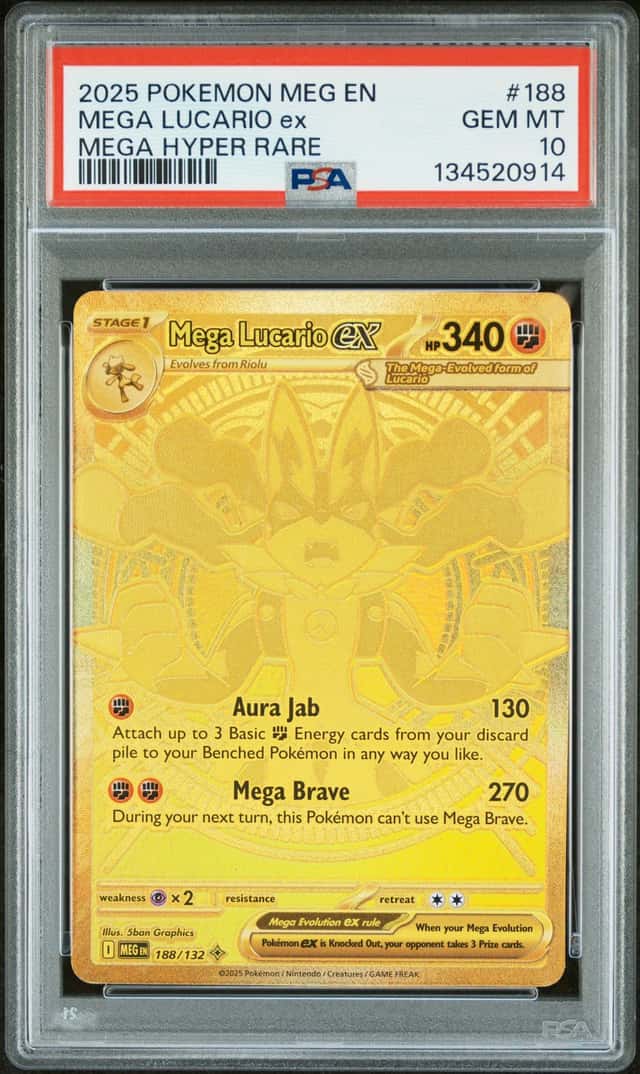 MEGA LUCARIO ex