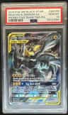 Pikachu & Zekrom Gx