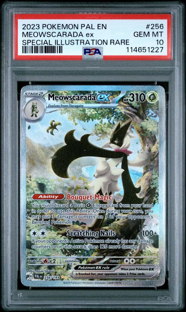 MEOWSCARADA ex