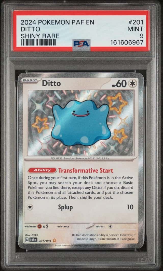 Ditto