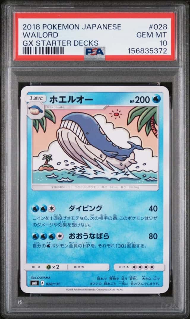 Wailord