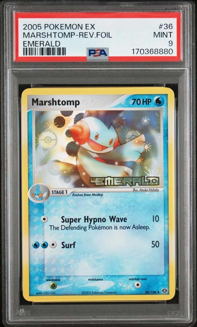 Marshtomp