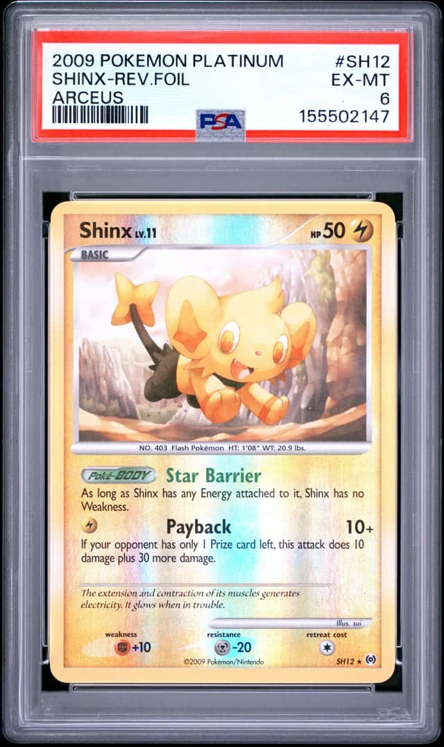 Shinx
