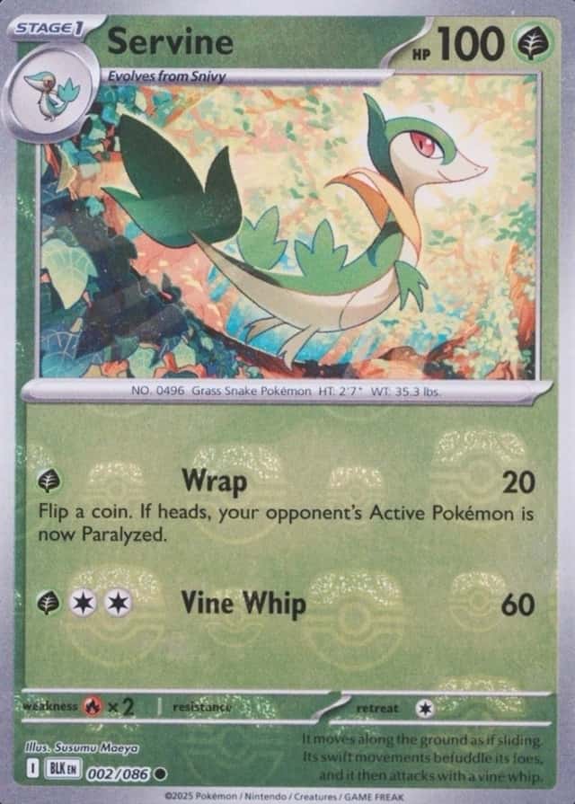 Master Ball · Reverse Holo