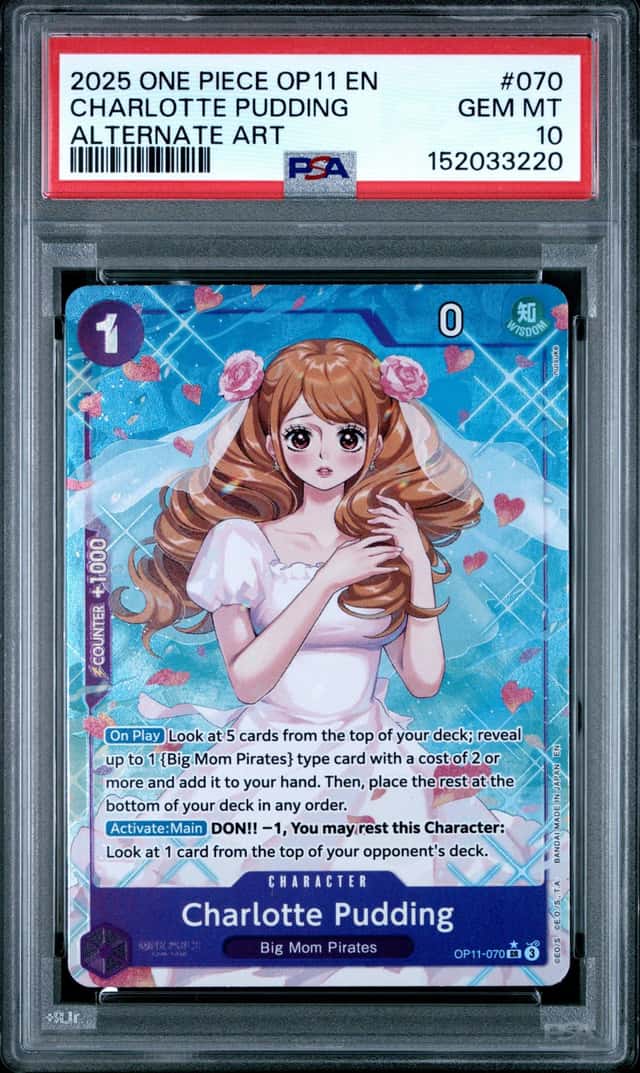 Charlotte Pudding