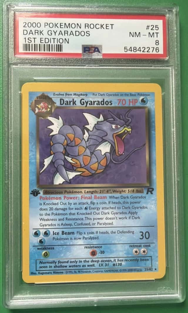 Dark Gyarados