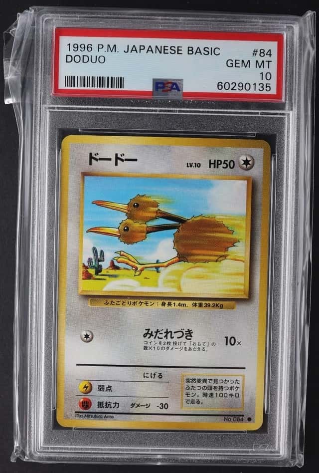 Doduo