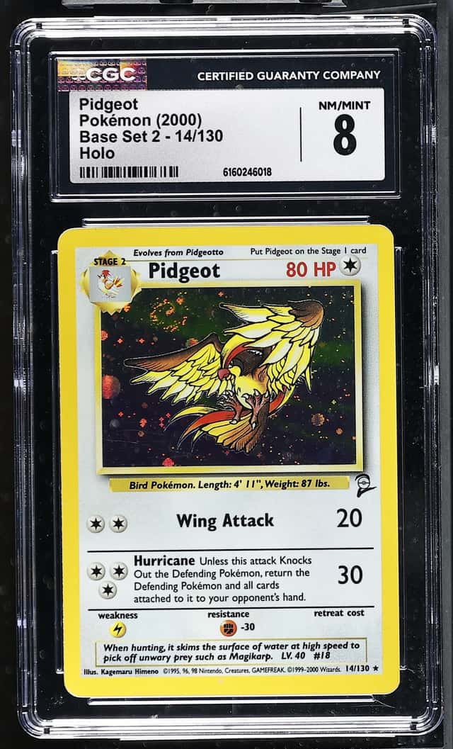 Pidgeot
