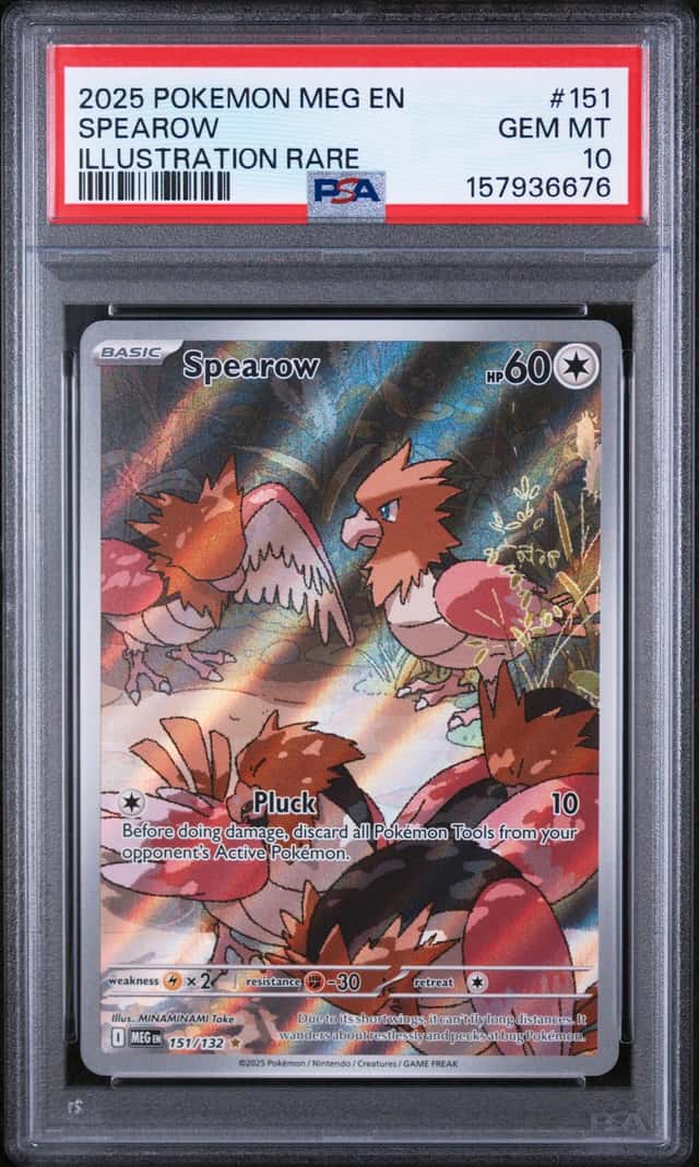 Spearow