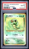 Caterpie