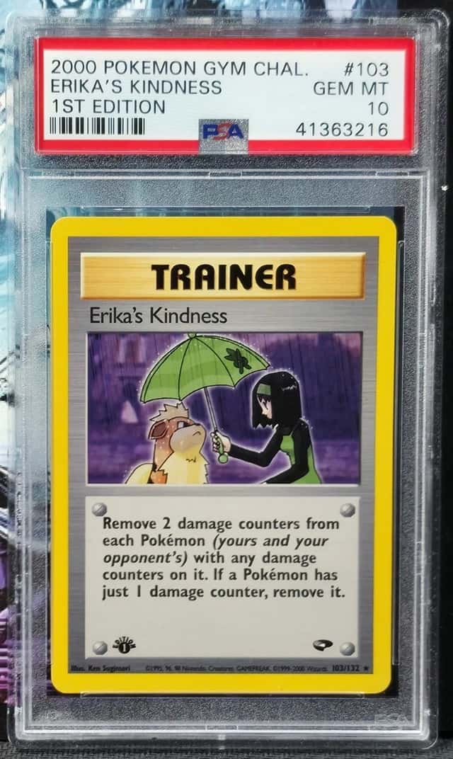 Erika's Kindness
