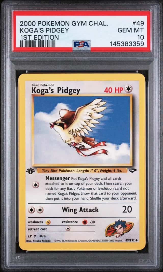 Koga's Pidgey