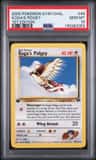 Koga'S Pidgey