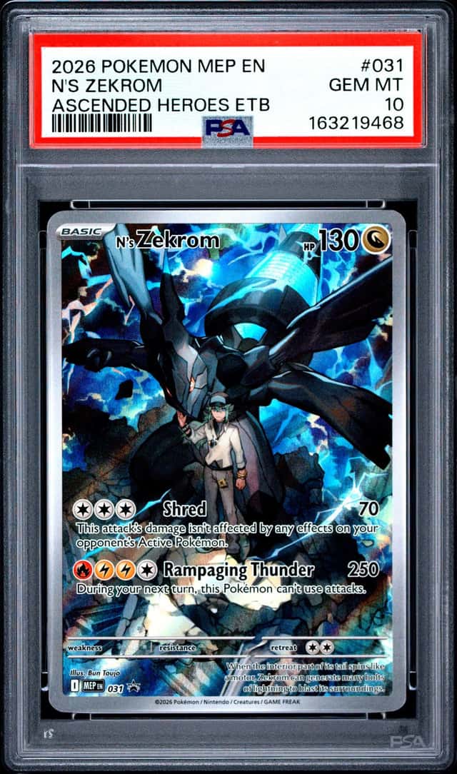 N's Zekrom