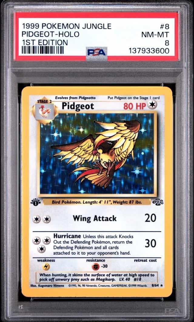 Pidgeot