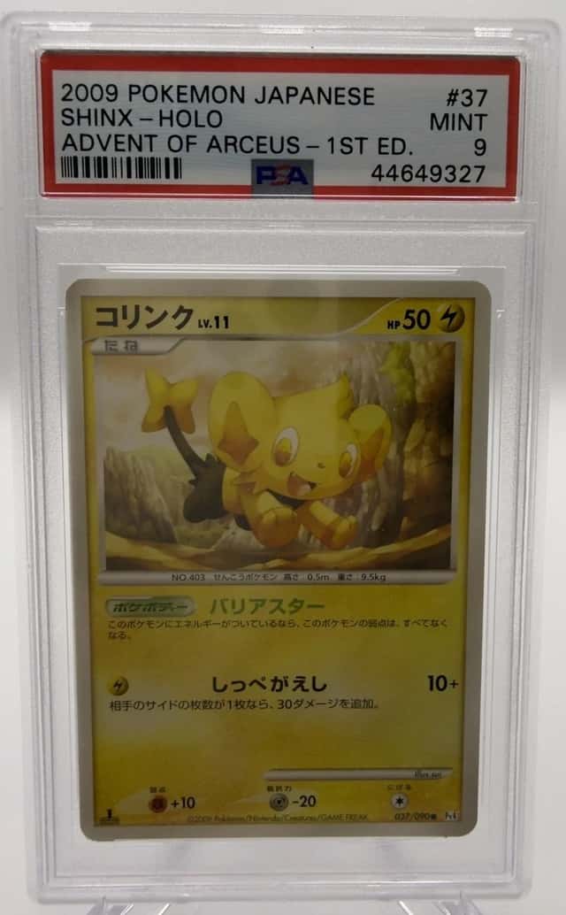 Shinx