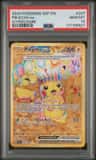 Pikachu Ex