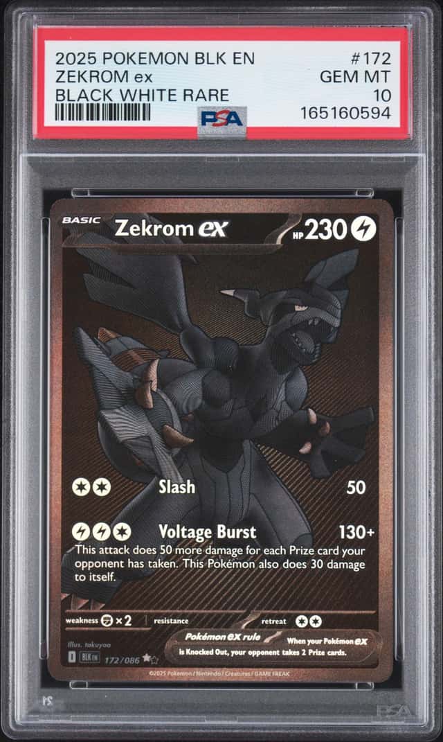 ZEKROM ex