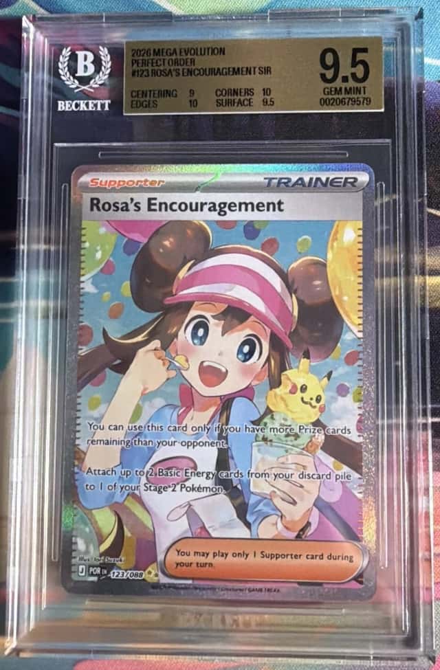 Rosa's Encouragement
