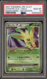 Leafeon Lv X