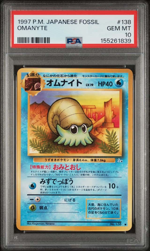 Omanyte