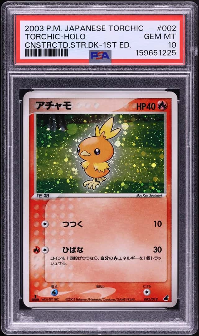 Torchic