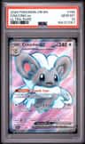 Cinccino Ex