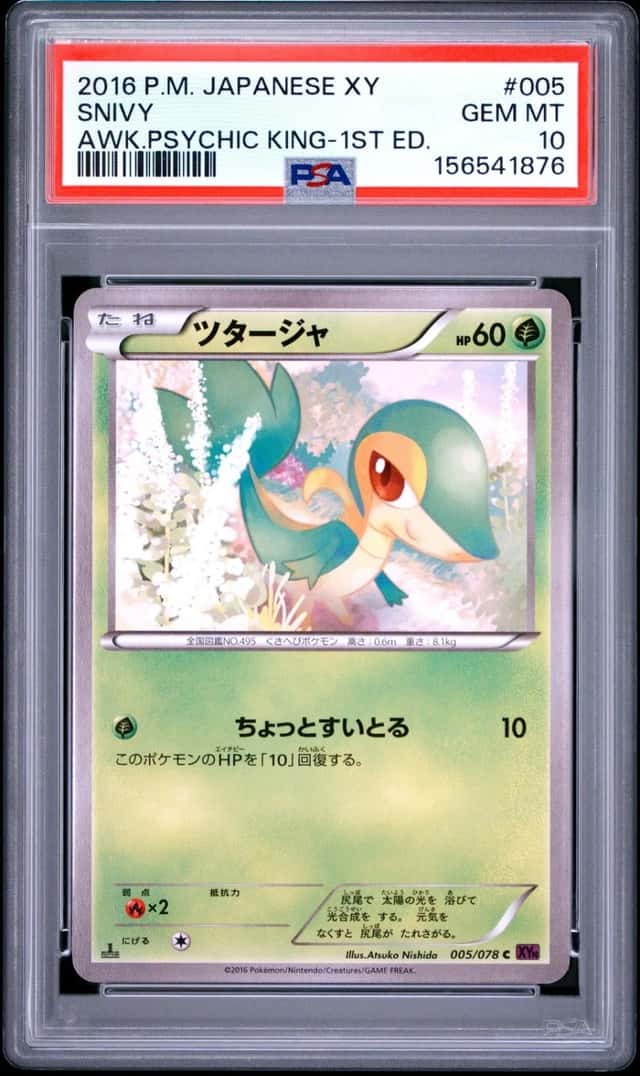 Snivy