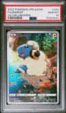 Mareep