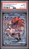 N'S Zoroark Ex