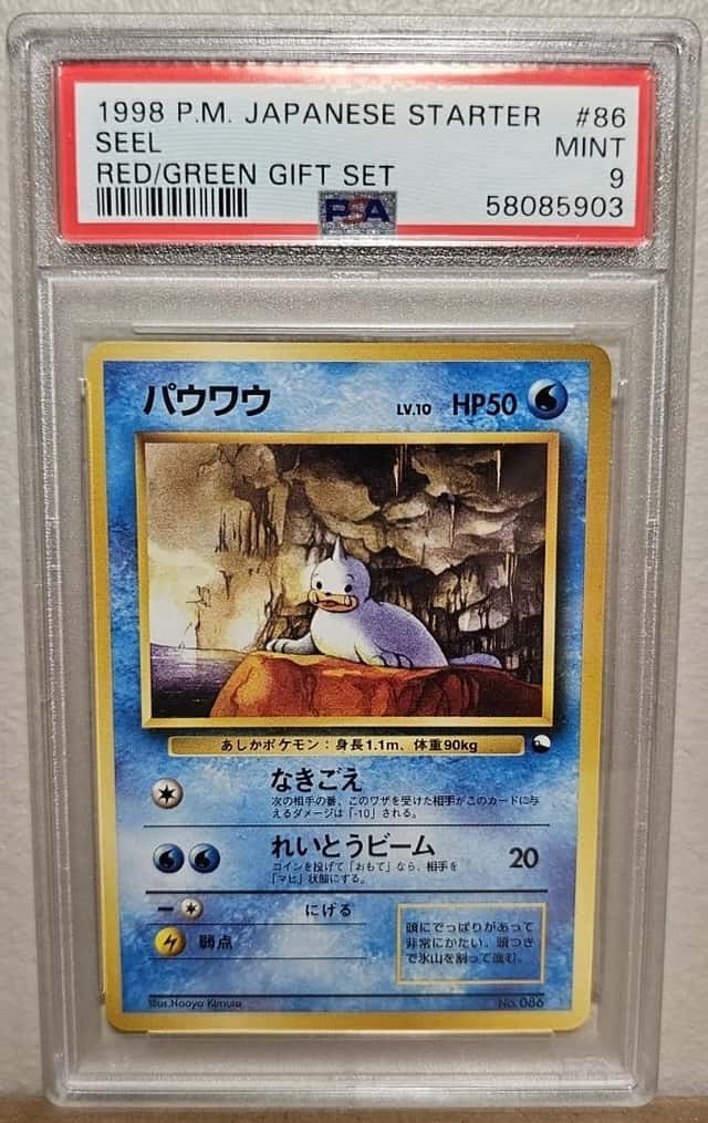 Seel